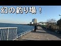 【浮島つり園】超絶穴場！廃れた元有名海釣り公園は魚種の宝庫だった笑【2019.01.04】