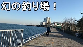 【浮島つり園】超絶穴場！廃れた元有名海釣り公園は魚種の宝庫だった笑【2019.01.04】