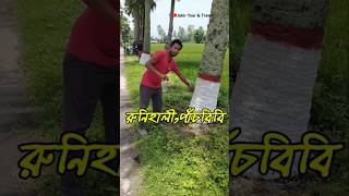 উপরে লাল নিচে সাদা রং করা হচ্ছে সারিবদ্ধ তালগাছ গুলো।। সবাই দেখে যাবেন এই সুন্দর রাস্তাটা।।