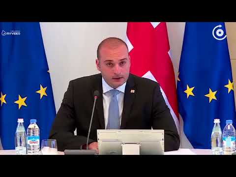 მამუკა ბახტაძემ ვიცე პრემიერებად გიორგი გახარია და მაია ცქიტიშვილი დაინიშნენ