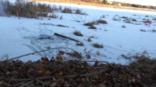 5 grams binary explosive 10 inches under water