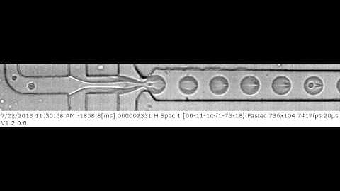 Cell encapsulation in a Co-flow Drop Maker Microfluidic device