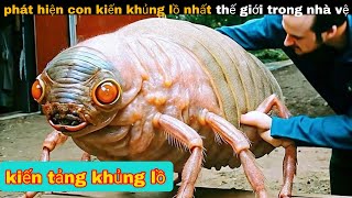 Phát Hiện Con " Kiến Lỏ Ra Khủng Lồ " Bên trong căn Nhà Bỏ Hoang || review giải trí