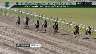 Victoria de Islandina (Lizard Island - Splashy) - Hipódromo Argentino de Palermo