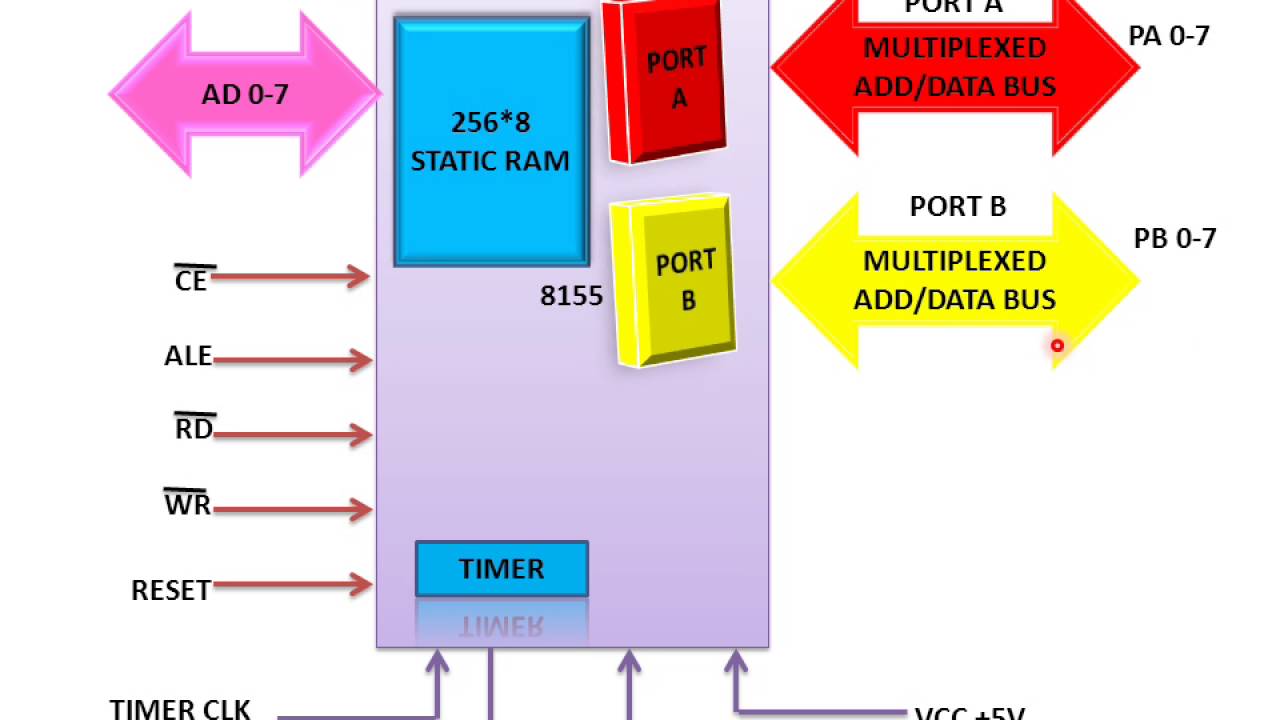 8155 Signal Diagram - YouTube