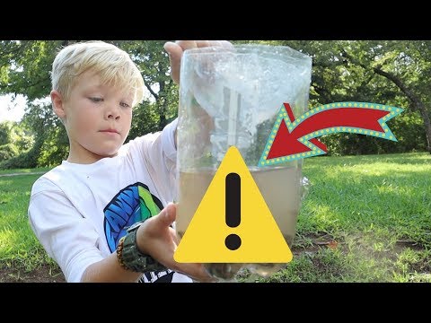 CRAZY Results with a 1 DOLLAR Homemade Fish Trap!