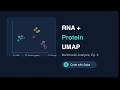 Single Cell Datasets Ep 6 - Protein UMAP plotting and analysis walkthrough on 10xGenomics