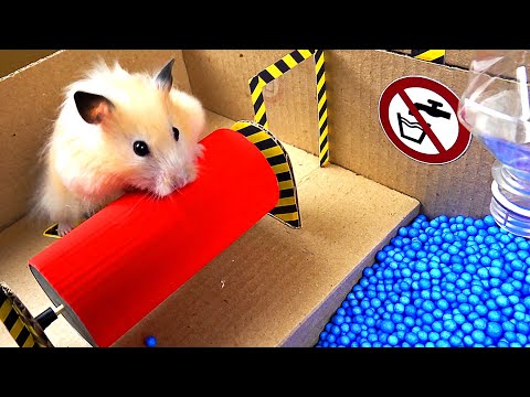 Epic Hamster Maze