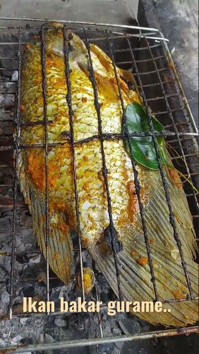 JUMBO ikan bakar gurame #shorts #guramebakar
