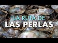 La Ruta de las Perlas | Mini Documental