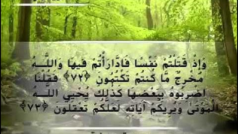 Moustafa Haredy  El Baqarah Ayah 71-73| مصطفى هريدى - سورة البقرة - من أية 71-73