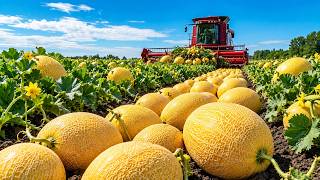 How US Farmers Harvest Millions of Tons of Fresh Fruits in the 2026 Season | Farming Documentary