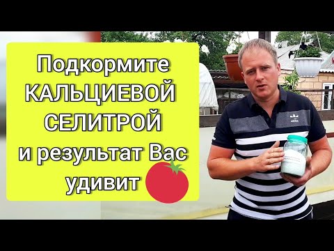 Видео: Подкормите КАЛЬЦИЕВОЙ СЕЛИТРОЙ и результат Вас удивит