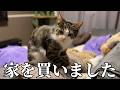 【緊急】猫の為に、ついに家を購入しました
