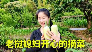 钓到甲鱼了，菜园西葫芦长大了#创作灵感 #农村美食 #乡村生活 #老挝媳妇 #农村生活#中外夫妻