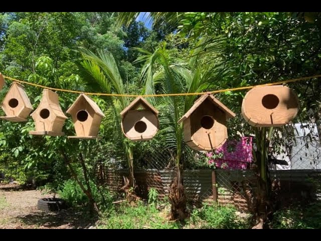 4 COMEDEROS para pájaros perfectos para el jardín (recopilatorio) -  Jardinatis 