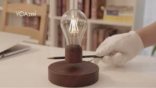 Home Levitating Light Bulbs