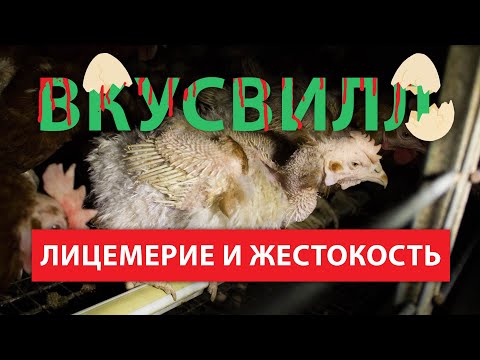 ВкусВилл - лицемерие и жестокость