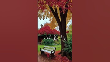 (سورة مريم)عبد الباسط عبد الصمد✨🌼💚 #tiktok #اكسبلور #قرآن #قران_كريم #trending #حالات_واتس #quran