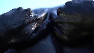 Erdve - Pragulos (Official Video) 2021