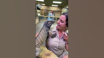 This Mama Iguana just wanted a Hug🥰😁