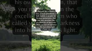 Bible verse of the day