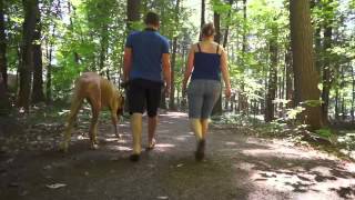 Découvrez Nicolet-Yamaska