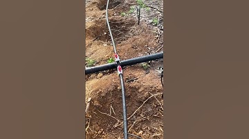 Cách làm hệ thống tưới tự động cho cây cà phê tại nhà