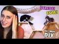 BUILDING A CAT WALL *STRESS* (finally a cat video)