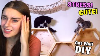 BUILDING A CAT WALL *STRESS* (finally a cat video)