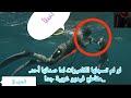 لو لم تسجلها الكاميرات لما صدقها أحد مقاطع فيديو غريبة جدا الجزء الثالث لو لم تسجلها الكاميرات لما صدقها أحد مقاطع فيديو غريبة جدا الجزء الثالث