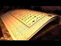 Очень красивое чтение аята! |  Сура 33:35 «Аль Ахзаб» , | Сальман аль-Утайби | Quran