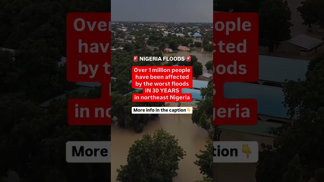In📍Nigeria, over 230,000 people have been displaced by the worst floods in 30 years.