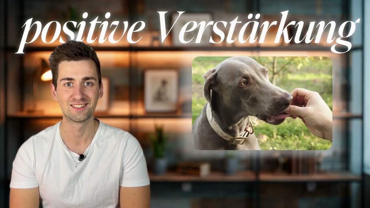 Effektives Hundetraining benötigt Strafe - warum Leckerlies alleine nicht ausreichen