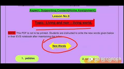 Grade 2 EVS Dated 02 08 2021