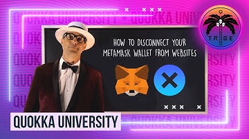[Quokka University] How To Disconnect Your MetaMask Wallet From Websites