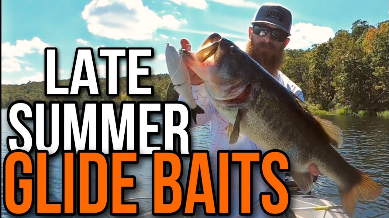 Glide Bait Tips for Late Summer Bass 