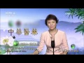 《中华医药》 20170529 端午寻艾 | CCTV-4