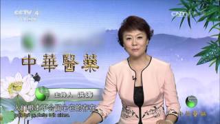 [Chinese Medicine] 20170529 | CCTV-4