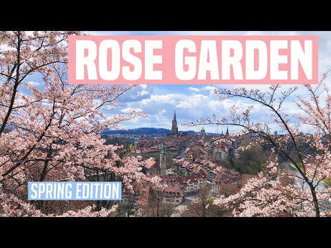 Video: Mga Atraksyon Kay Bern: Rose Garden