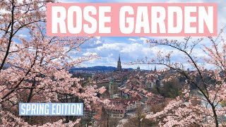 Rosengarten, One of the Most Beautiful Parks in Bern