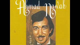 Ahmad Nawab - Potret Kasih (Instumental) [ Audio Video]