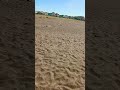 passeggiata campo di mare marina di Cerveteri lungomare Cerenova spiaggia canale giro bel turistico