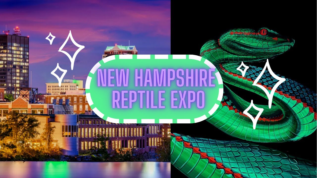 New England Reptile Expo New Hampshire YouTube