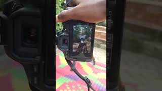 Canon Eos 200D Ii Potrait Photography