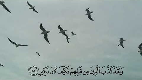 سورة الملك للشيخ هاني الرفاعي