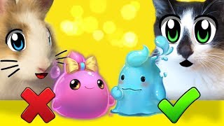 ЛИЗУН ЧЕЛЛЕНДЖ! КРОЛИК БАФФИ и КОТ МАЛЫШ делают СЛАЙМ! новый SLIME CHALLENGE! ЛИЗУНЫ СВОИМИ РУКАМИ