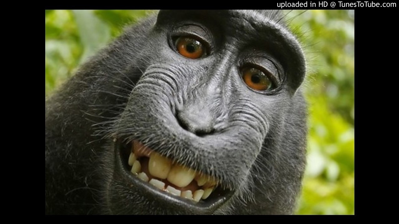 l'Morphine - Virgule,