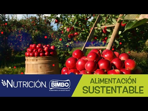 Alimentación sustentable, ¿sabes