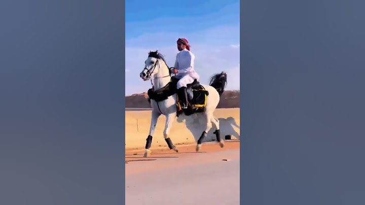 شاهد جمال خطوات الخيل العربي الاصيل فخامه وهيبه ماشاء الله 😍👑 #خيل #السعودية